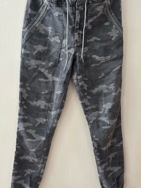 American Eagle Outfitters Gray Stretch Casual Pants